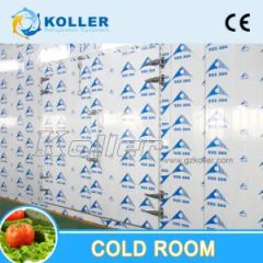 Walk in Chiller Cold Room for Long Time Storage - Image 1