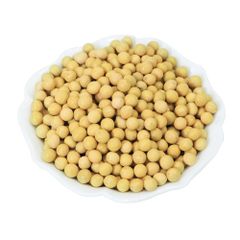 Bulk Yellow Soybeans, Premium New Crop Non-GMO Soybean for Cooking, Sprouting & Food Processing Soybean Seed - Image 1