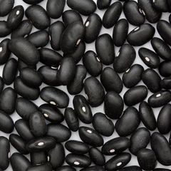 Superior Black Kidney Beans High Quality Whole Seeds Fresh Natural Taste Rich Fiber Suitable For Bulk Supply And Food Industry Use Buy Now Fast Delivery Premium Quality Wholesale - Image 1