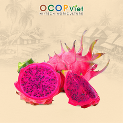 Thanh long ruột đỏ - Red Flesh Dragon Fruit - Image 4