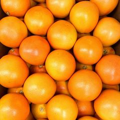 FRESH CLASS 1 EXPORT QUALITY GRAPEFRUITS FOR EXPORT!! New Crops Ready for Export Internationally - Image 5