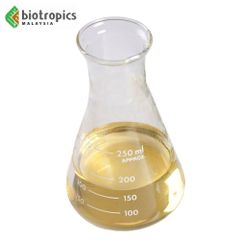 Factory Wholesale Bulk Cold Pressed Food Grade 100% Pure Virgin Coconut Oil for Diet or Skincare Routine - Image 2