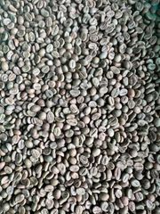 Green Coffee Beans – product photo 5, product detail gallery