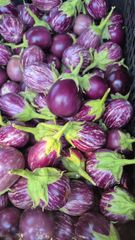 Vegetables – product photo 7, product detail gallery
