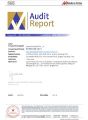 SGS certificate from Qingdao Berling Tech Co., Ltd.