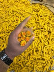 Turmeric - Image 2