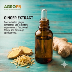 Ginger extract - Image 1