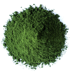 Chlorella Powder - Image 1