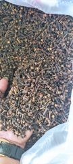 Cloves – product photo 1, product detail gallery