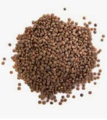 Cheap 100% Organic Whole Moong Dal/Green Mung Beans Dried Directly From Farm with Best Indian Suppliers Natural Color and Taste - Image 5