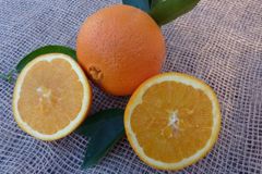 High-quality fresh oranges sourced from Southern Türkiye. – product photo 1, product detail gallery