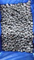 Top Quality FROZEN Blueberries for sale!! Class 1 export quality Frozen Blueberries from South Africa – product photo 4, product detail gallery