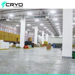 Chicken Breast Frozen Onion New Walk in Freezer Egg Cold Room out of Cold Storage - Guangzhou Cryo Systems Refrigeration Equipment Co., Ltd.