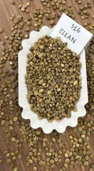 Robusta Green Coffee Beans S18 High Quality TNFOOD Factory Direct Export from Kenya - Image 2