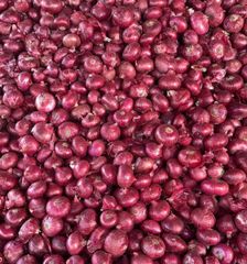 Fresh onion  - Image 2