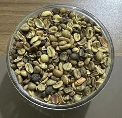Robusta Coffee Beans – product photo 5, product detail gallery