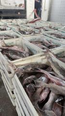 Company – thumbnail 3 of 30, supplier detail gallery