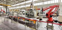 Flexible Packaging and Palletizing Machinery Complete Bagging and Palletizing Lines - Image 4