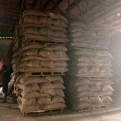 Cocoa Beans – product photo 5, product detail gallery