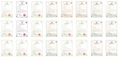 Certification certificate of Qingdao Support Machinery Co., Ltd. – certificate photo, supplier certificates section