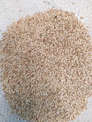 White sesame Seeds -sesame seeds - Image 6