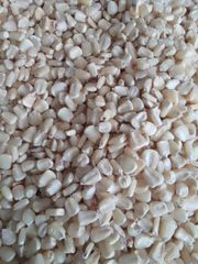 White Maize - Image 1