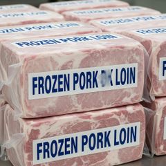 Frozen Pork Loin Carefully Prepared Export Selection Delivering Reliable Meat Quality For Import Distribution – product photo 3, product detail gallery