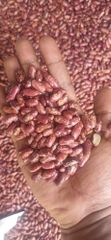 Bean, Nut & Seed – product photo 2, product detail gallery
