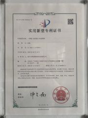 Valve mouth paper bag paper tape insertion transmission device certificate from Enping Desheng Intelligent Technology Co., Ltd