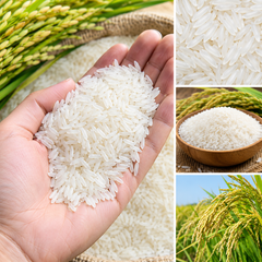 Premium Vietnamese Jasmine Rice 5% Broken , EU Standard , Reliable Export Supply, reasonable price - Image 2