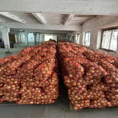 Premium Fresh Potatoes For Food Service And Retail Supply With Consistent Quality Firm Texture And Excellent – product photo 1, product detail gallery