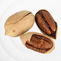 Hot Sales Nutritious High Quality Pecan - Image 1