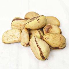 Kola Nut - Image 1