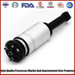 Rnb 000 856 Air Suspension Land Rover Discover Front - Linyi Tianyi Shock Absorber Co., Ltd.