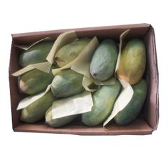 Bulk Chaunsa Fresh Fruit Mango from Pakistan - High Quality and Delicious - Image 4