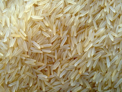 Basmati Golden Sella 1509 - Image 2