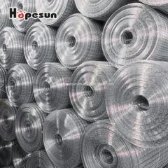 Hot Dipped Galvanized Dog Welded Wire Mesh After Welding - Hebei Hopesun Industry & Trade Corp.