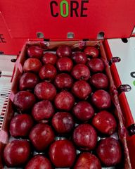 FRESH TOPRED SOUTH AFRICAN APPLES FOR SALE!! CLASS 1 EXPORT QUALITY TOPRED APPLES FOR EXPORT – product photo 1, product detail gallery