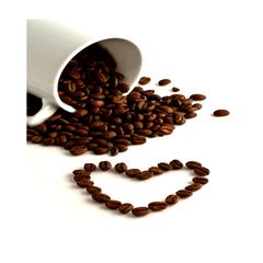 Buy Fresh Dried Arabica Medium Roasted Coffee or Green Beans with Grade Buy Now At low Price – product photo 1, product detail gallery