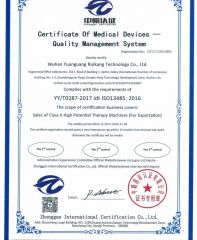 ISO certificate from Wuhan Yuanguang Ruikang Technology Co., Ltd.