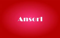 Shenzhen Ansorl Technology Co., Ltd.