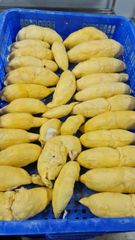 FROZEN DURIAN – product photo 2, product detail gallery