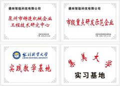 Domestic Certificate certificate of Delin Intelligent Technology Co., Ltd. – certificate photo, supplier certificates section
