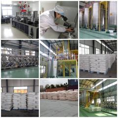 Company Shots certificate from Allright GC (Jinan) Biotechnology Ltd.