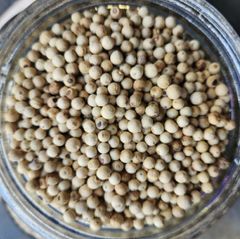 Black/white Pepper 550GI/ 500GI Black Pepper – product photo 2, product detail gallery