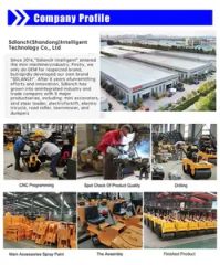 Large Scale (SDLR R50) Double Wheel Pavement Ride-on Road Roller with CE Approved - Image 6