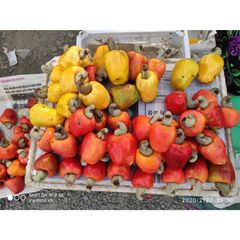 CASHEW NUT WW180, 210, 240 320, 450 / Premium Cashew 100% White Cashew Nut Sell From Vietnam – product photo 6, product detail gallery