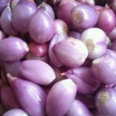 Fresh Red Onion - Image 1