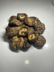 Shiitake mushrooms Size 4-5cm Moisture Content 8-11% Manufacturing Location Viet - Image 2