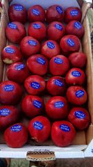 Peach - Image 1
